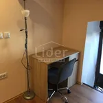 Rent 2 bedroom apartment of 42 m² in Grad Rijeka