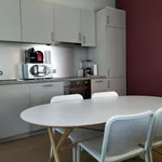 Rent 1 bedroom apartment in brussels