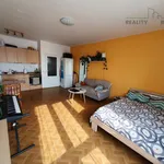 Rent 1 bedroom apartment in Brno