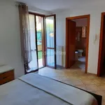 Rent 2 bedroom apartment of 50 m² in Spoltore