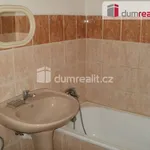 Rent 1 bedroom apartment of 16 m² in Branky