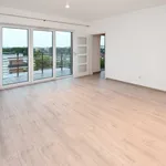 Rent 2 bedroom apartment of 41 m² in Siemianowice Śląskie