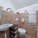 Rent 4 bedroom apartment of 164 m² in Miřetice