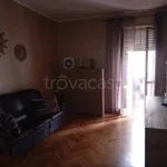 Rent 3 bedroom apartment of 80 m² in Torino