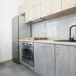 Rent 5 bedroom apartment of 110 m² in Krakow