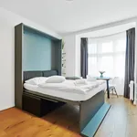 Rent 1 bedroom apartment of 30 m² in Prague