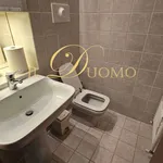 Rent 7 bedroom apartment of 302 m² in Castelletto sopra Ticino