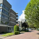 Huur 2 slaapkamer appartement van 41 m² in Voldijn