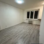 Rent 1 bedroom apartment in Sokolov