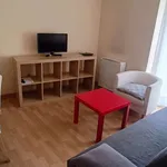 Rent 1 bedroom apartment of 55 m² in madrid