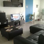 Rent 1 bedroom apartment in Geel