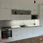 Rent 2 bedroom apartment in Plzeň