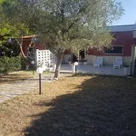 Rent 3 bedroom house of 80 m² in Cassano delle Murge