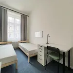 Rent 2 bedroom apartment of 23 m² in Brno