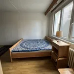 Rent 2 bedroom apartment in Mariánské Lázně