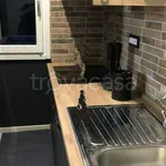 Rent 1 bedroom apartment of 35 m² in Torino