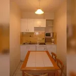 Rent 1 bedroom apartment in Grenoble