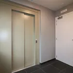 Rent 1 bedroom apartment in Zichem