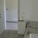 Rent 4 bedroom apartment of 100 m² in Senigallia