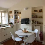 Rent 3 bedroom apartment of 140 m² in Lucca