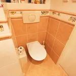 Rent 4 bedroom apartment of 78 m² in Plzeň