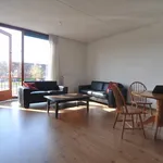 Rent 4 bedroom house of 114 m² in Grasrijk