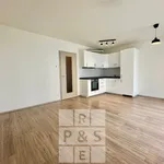 Rent 1 bedroom apartment in Praha 5