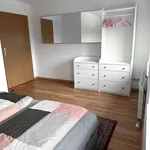 Rent 2 bedroom apartment of 55 m² in Chemnitz