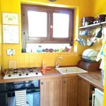 Rent 2 bedroom house of 63 m² in Calvi dell'Umbria