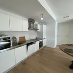 Rent 1 bedroom apartment in Antwerpen