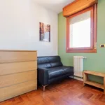 Rent 6 bedroom apartment of 90 m² in Bologna