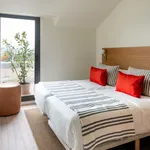 Alquilo 2 dormitorio apartamento de 40 m² en Vitoria-Gasteiz