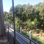 Rent 4 bedroom apartment of 150 m² in Caserta