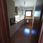 Rent 3 bedroom apartment of 80 m² in Gallarate