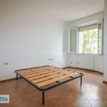 Rent 2 bedroom apartment of 60 m² in Milan