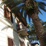 Rent 3 bedroom apartment of 60 m² in Pietrasanta