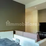 Rent 2 bedroom apartment of 55 m² in Cremona