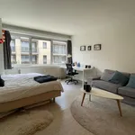 Rent 1 bedroom apartment in Leuven