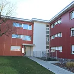 Rent 5 bedroom apartment of 92 m² in Regensdorf