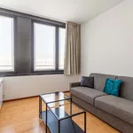 Rent 1 bedroom apartment in Milan