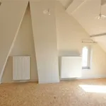 Rent 5 bedroom house in TORHOUT