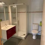  appartement avec 1 chambre(s) en location à Virton