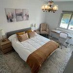 Rent 4 bedroom apartment in Malaga