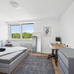 Rent 2 bedroom apartment of 47 m² in Ingolstadt