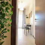 Rent a room in brescia