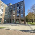 Rent 1 bedroom apartment in Coventry