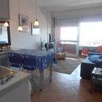 Rent 2 bedroom apartment of 45 m² in Follonica