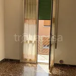 Rent 3 bedroom apartment of 77 m² in Bologna