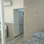 Rent 1 bedroom apartment in madrid