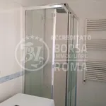 Rent 2 bedroom apartment of 82 m² in Roma